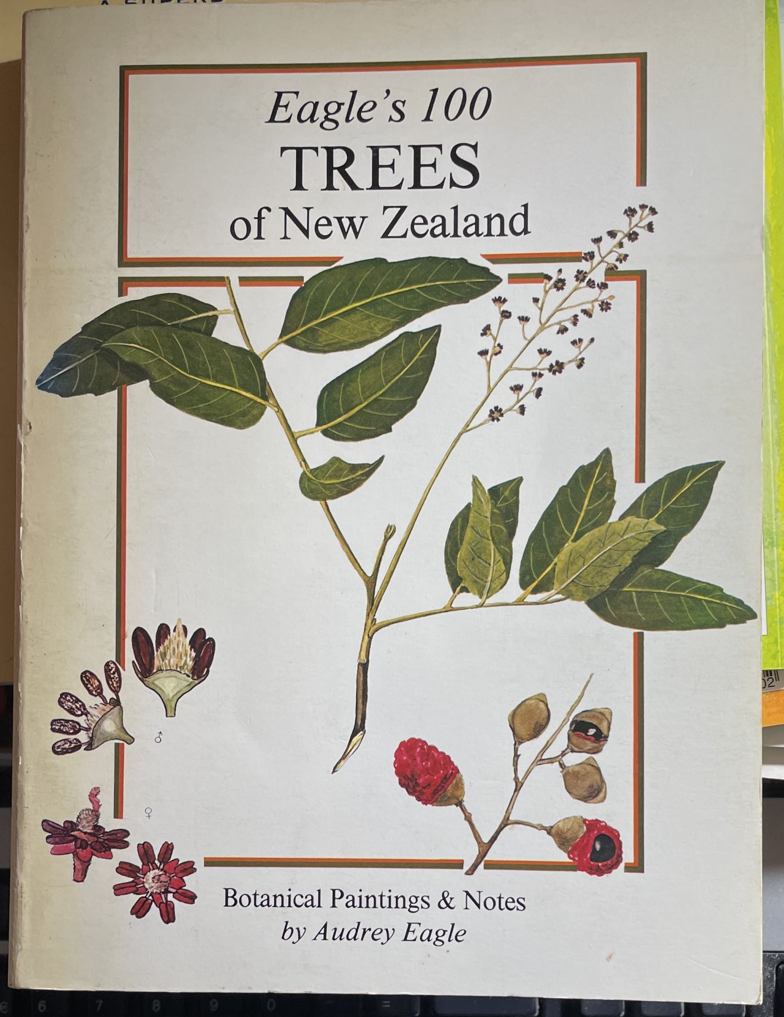 Eagle's 100 Trees of New Zealand