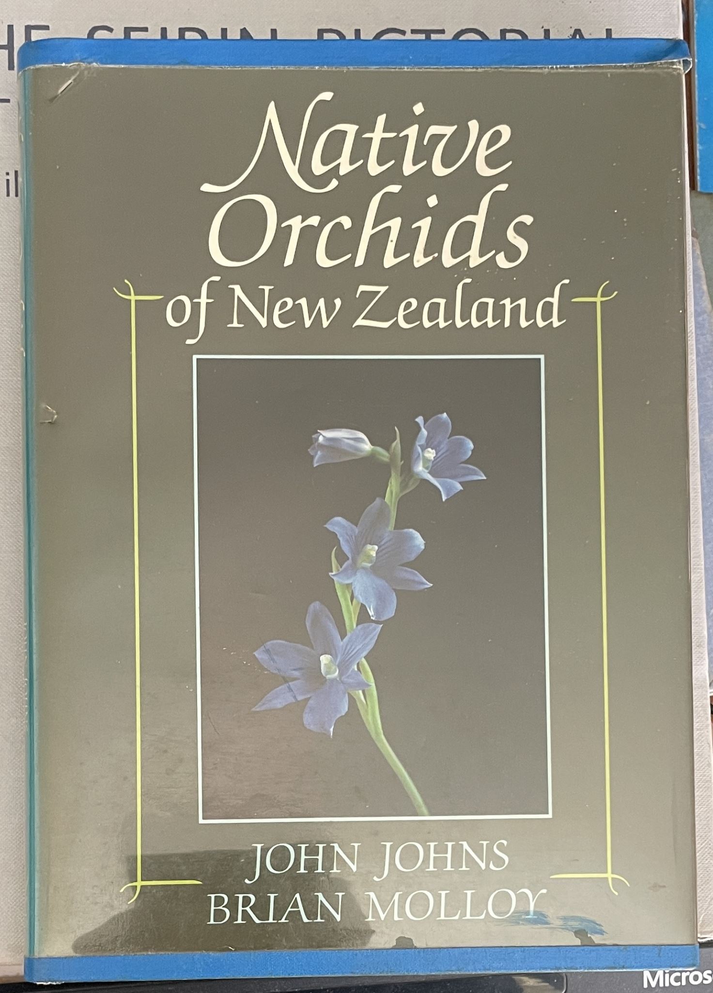 Native Orchids of New Zealand