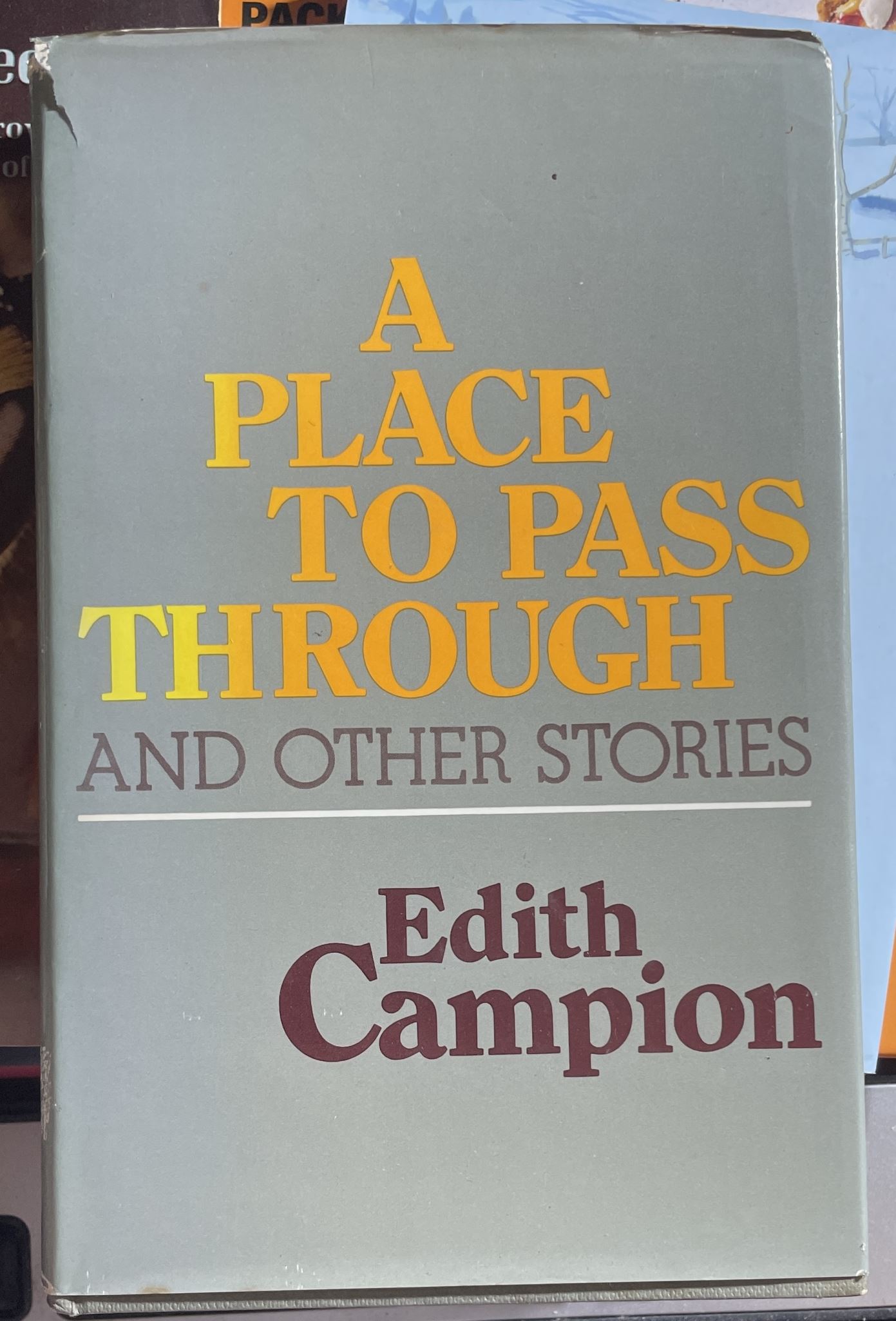 A Place to Pass Through and Other Stories by Edith Campion
