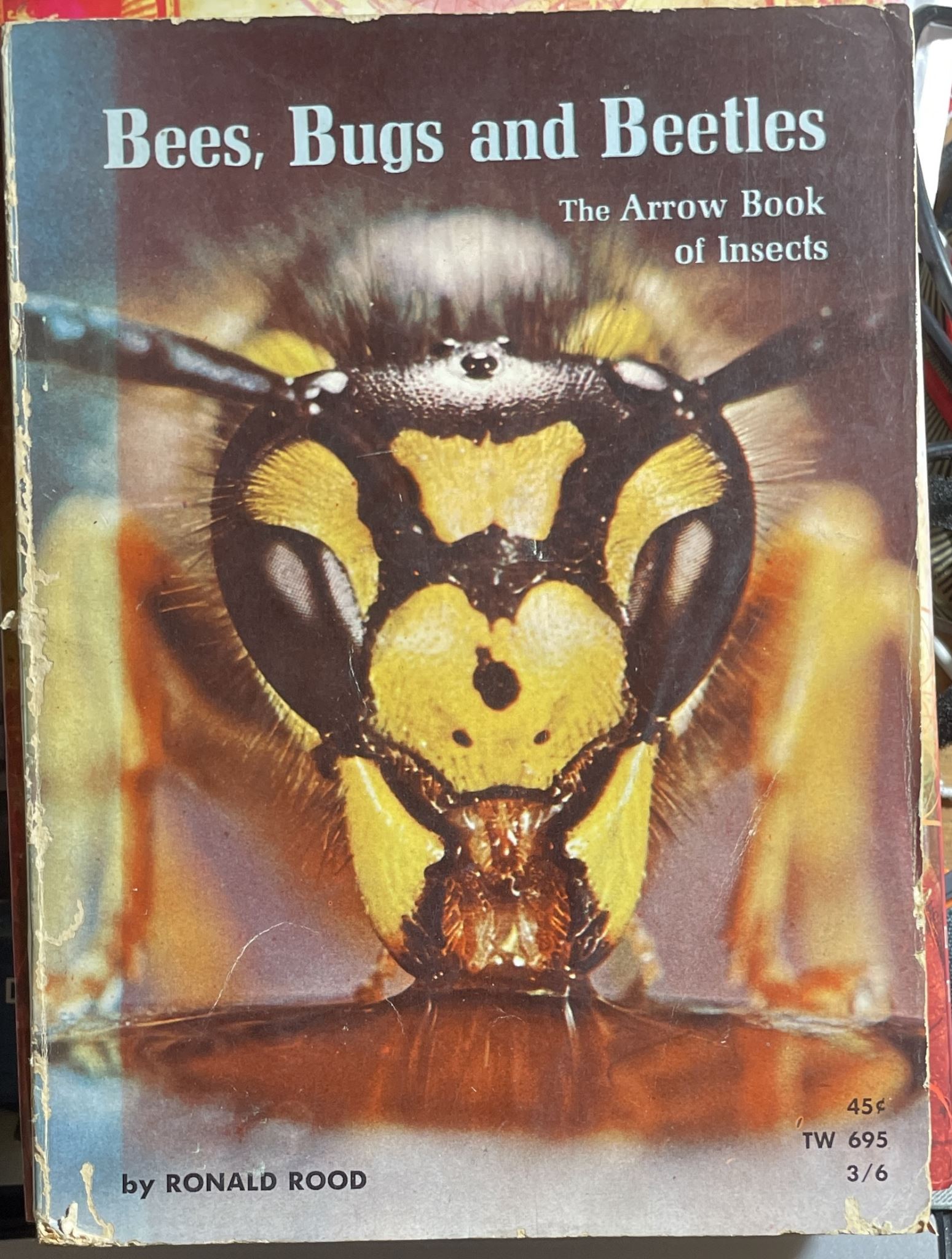 Bees, Bugs and Beetles The Arrow Book of Insects by Ronald Rood