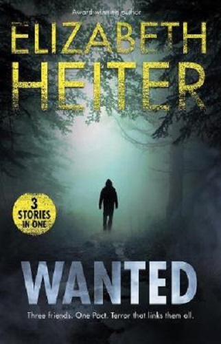 Elizabeth Heiter Disarming Detective, Seduced By The Sniper, Swat Secret Admirer