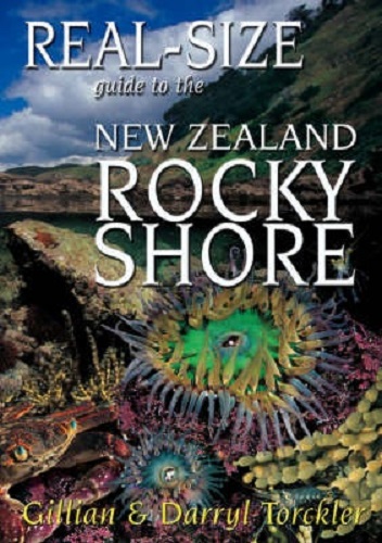 Real-Size Guide To The New Zealand Rocky Shore