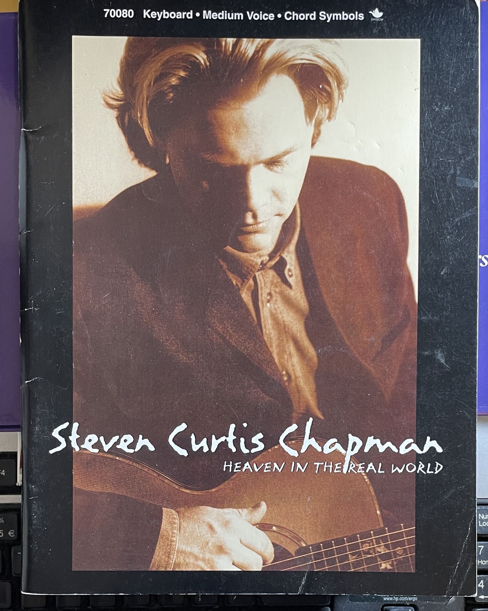 Steven Curtis Chapman Heaven in the Real World