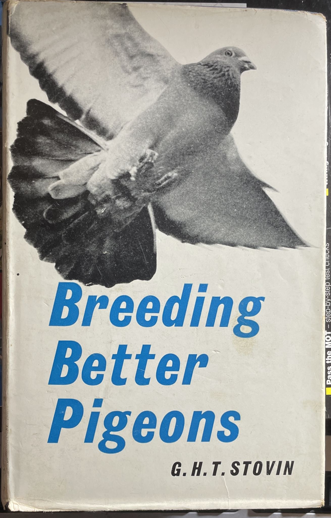 Breeding Better Pigeons by G H T Stovin