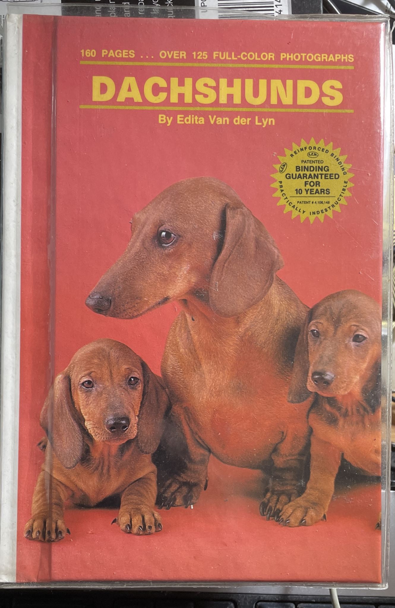 Dachshunds by Edita Van Der Lyn