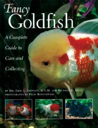 Fancy Goldfish A Complete Guide to Care and Collecting