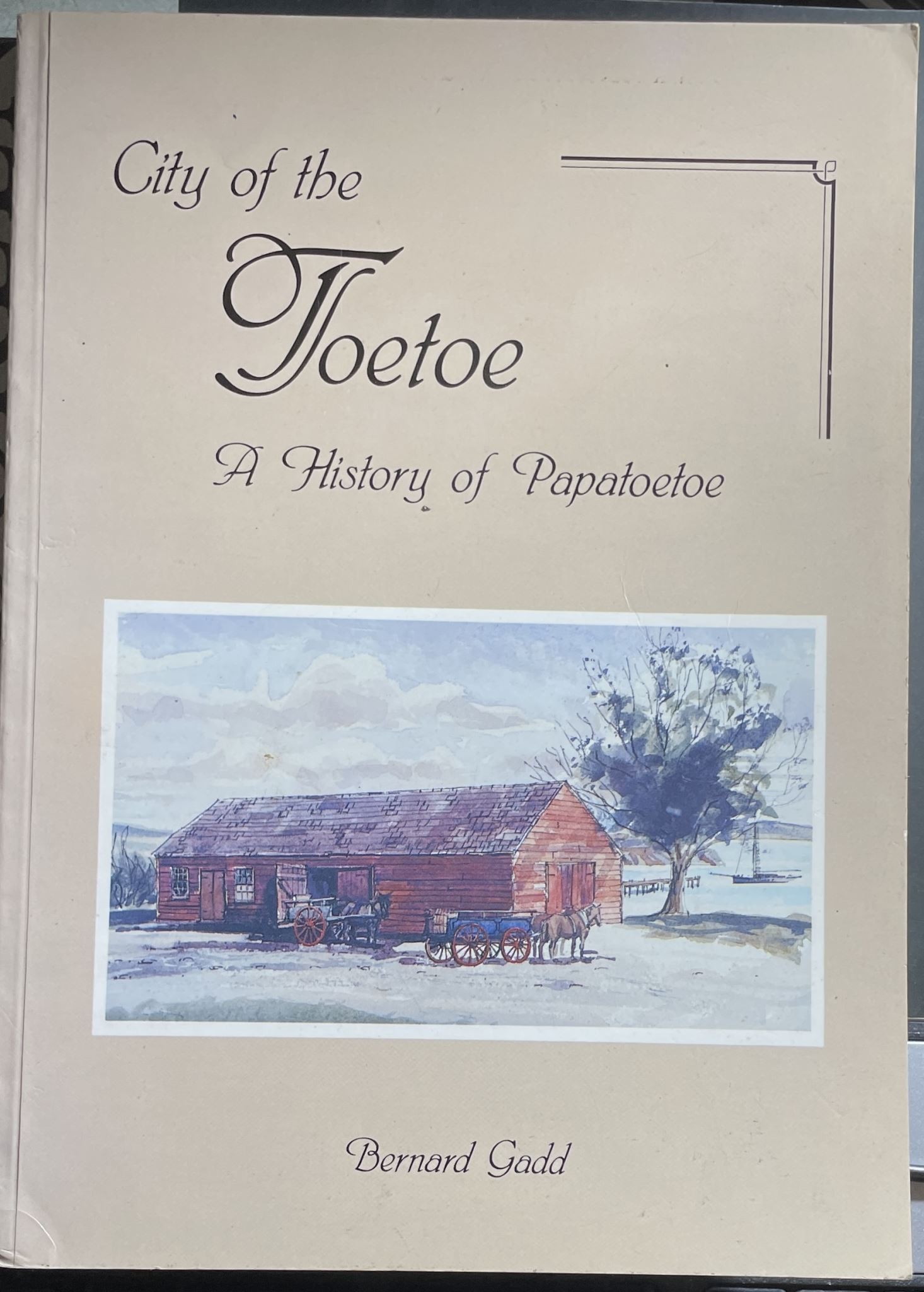 City of the Toetoe A History of Papatoetoe by Bernard Gadd Signed