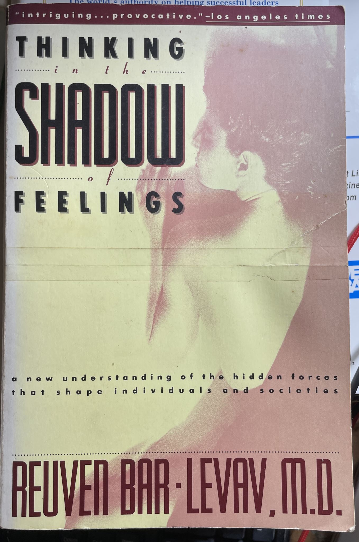 Thinking in the Shadow of Feeling By Reuven Bar-Levav