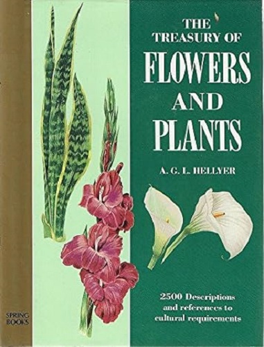 A Painterly Approach by Mary Beth McKenzie by A. G. L Hellyer