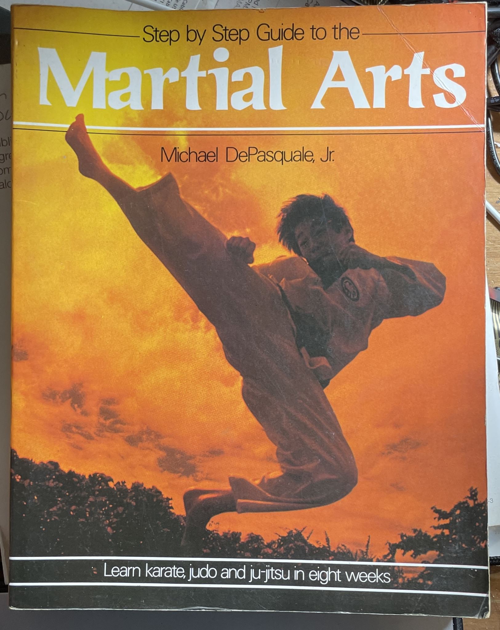 Martial Arts Step by step Guide By Michael DePasquale Jr