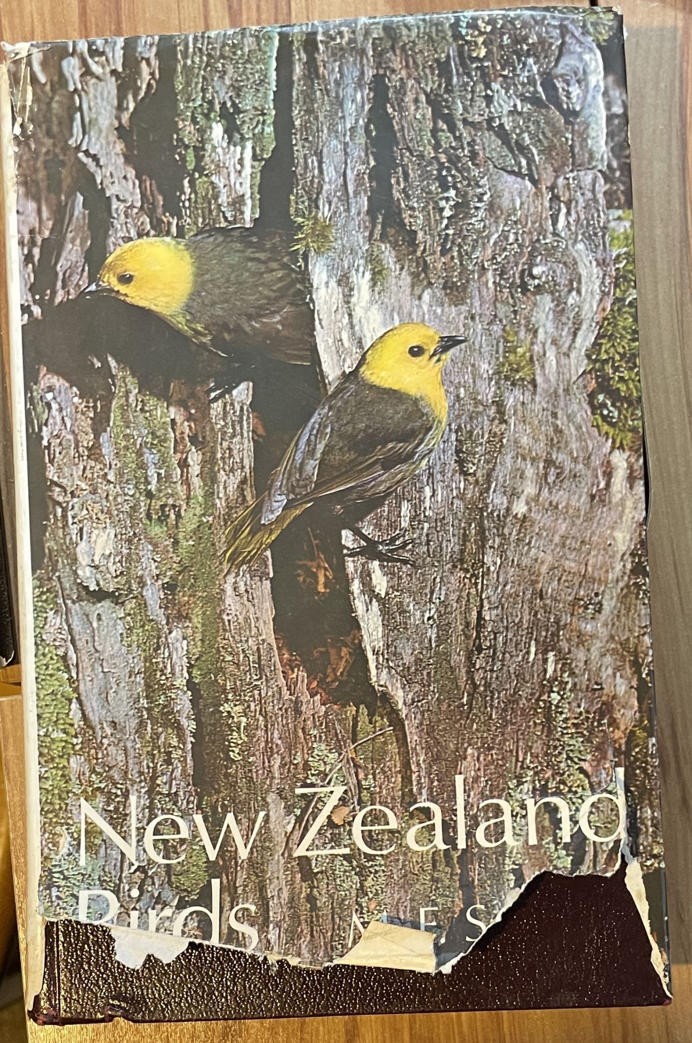 New Zealand Birds by M.F. Soper