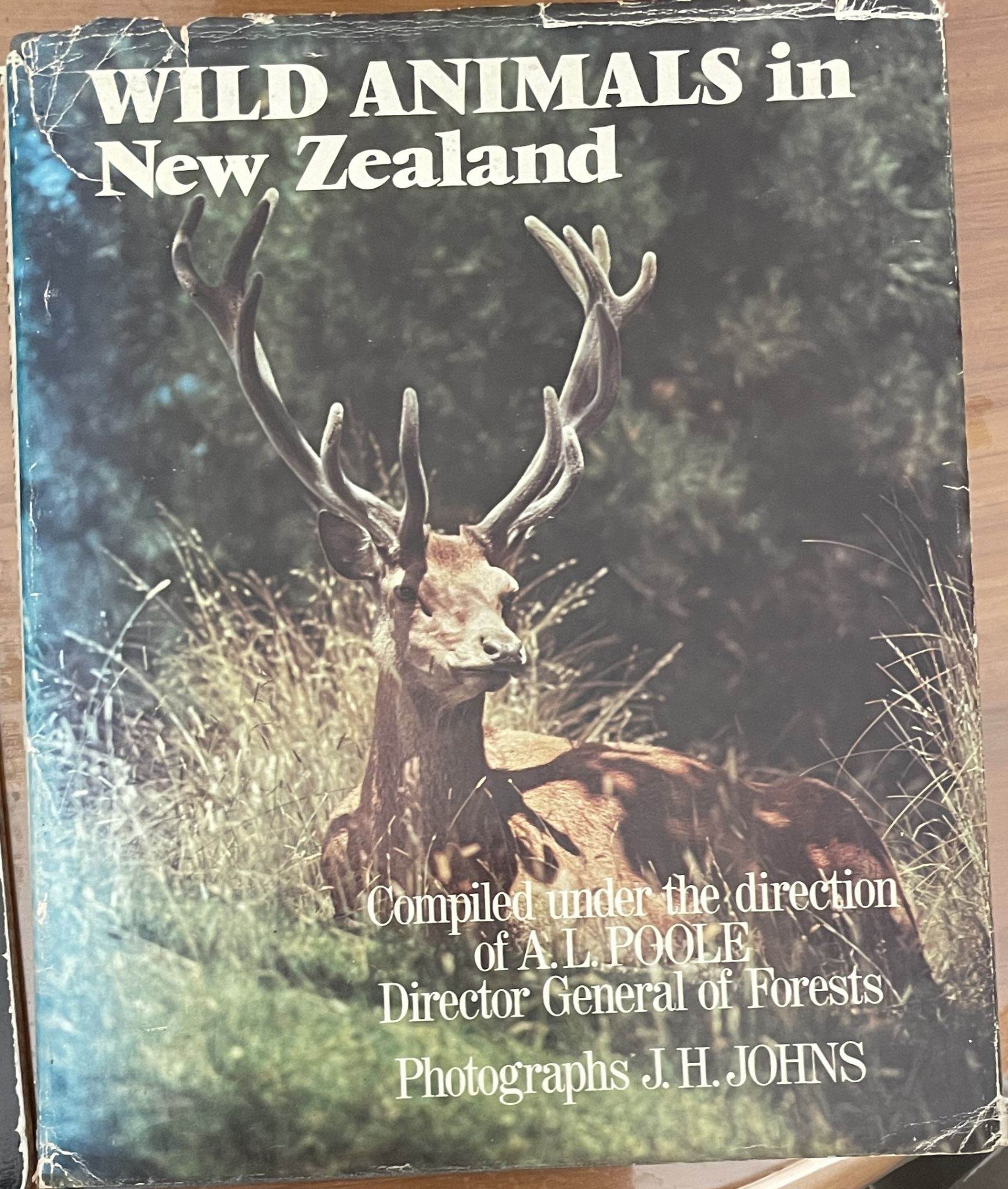 Wild animals in New Zealand