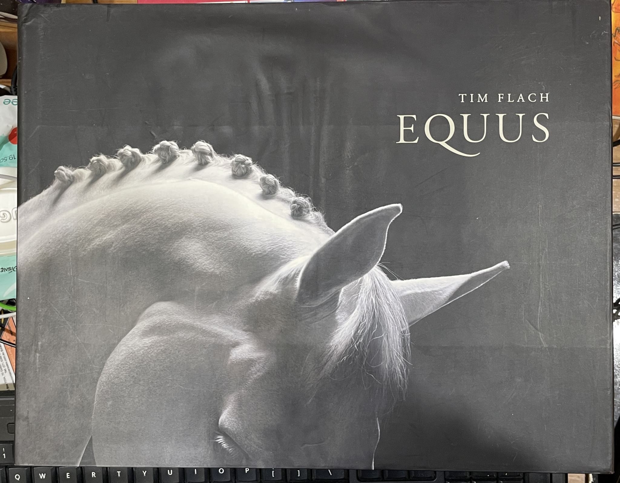 Equus By Tim Flach