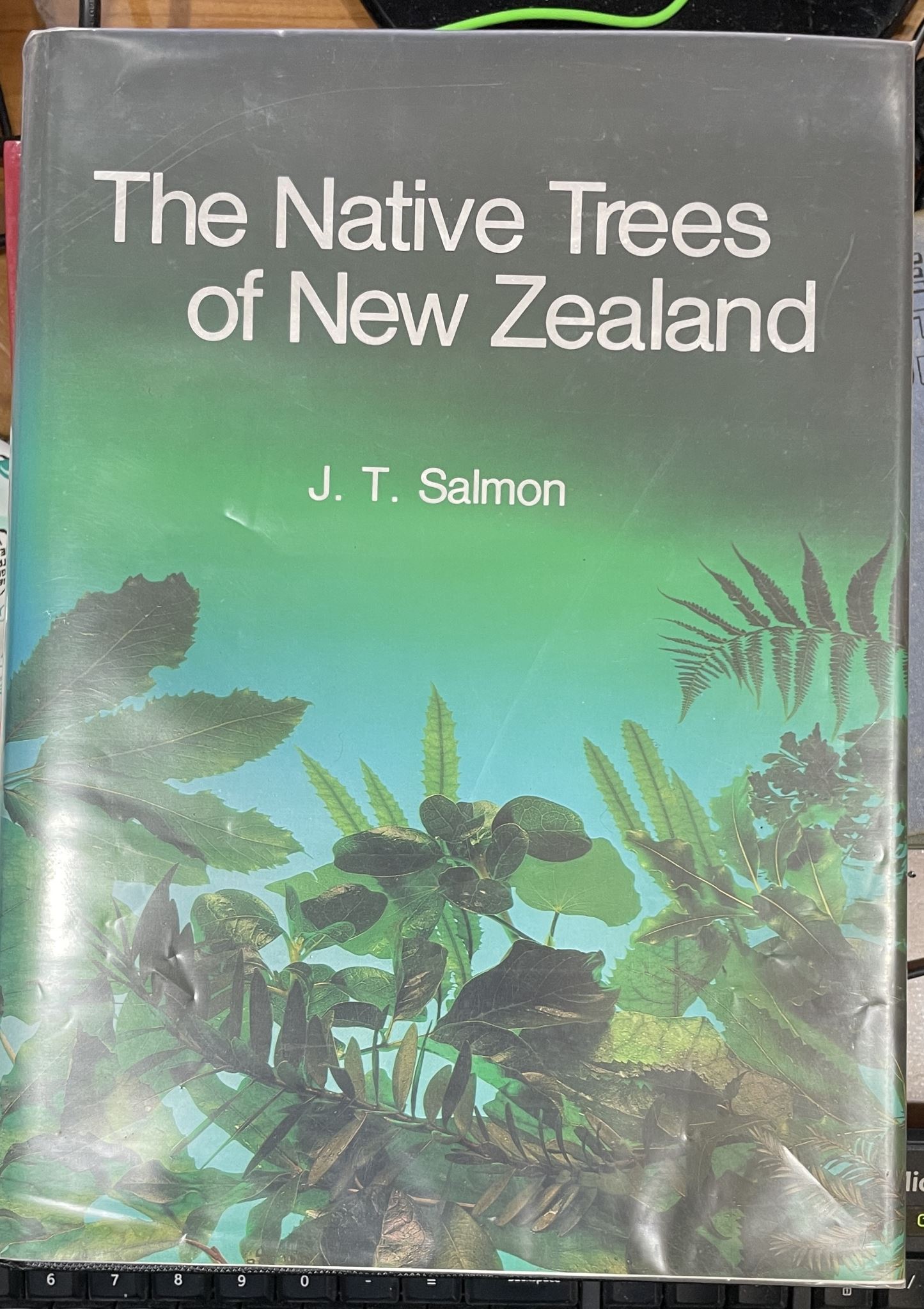 The Native Trees of New Zealand by J T Salmon