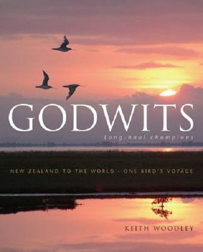 Godwits: Long Haul Champions By Keith Woodley