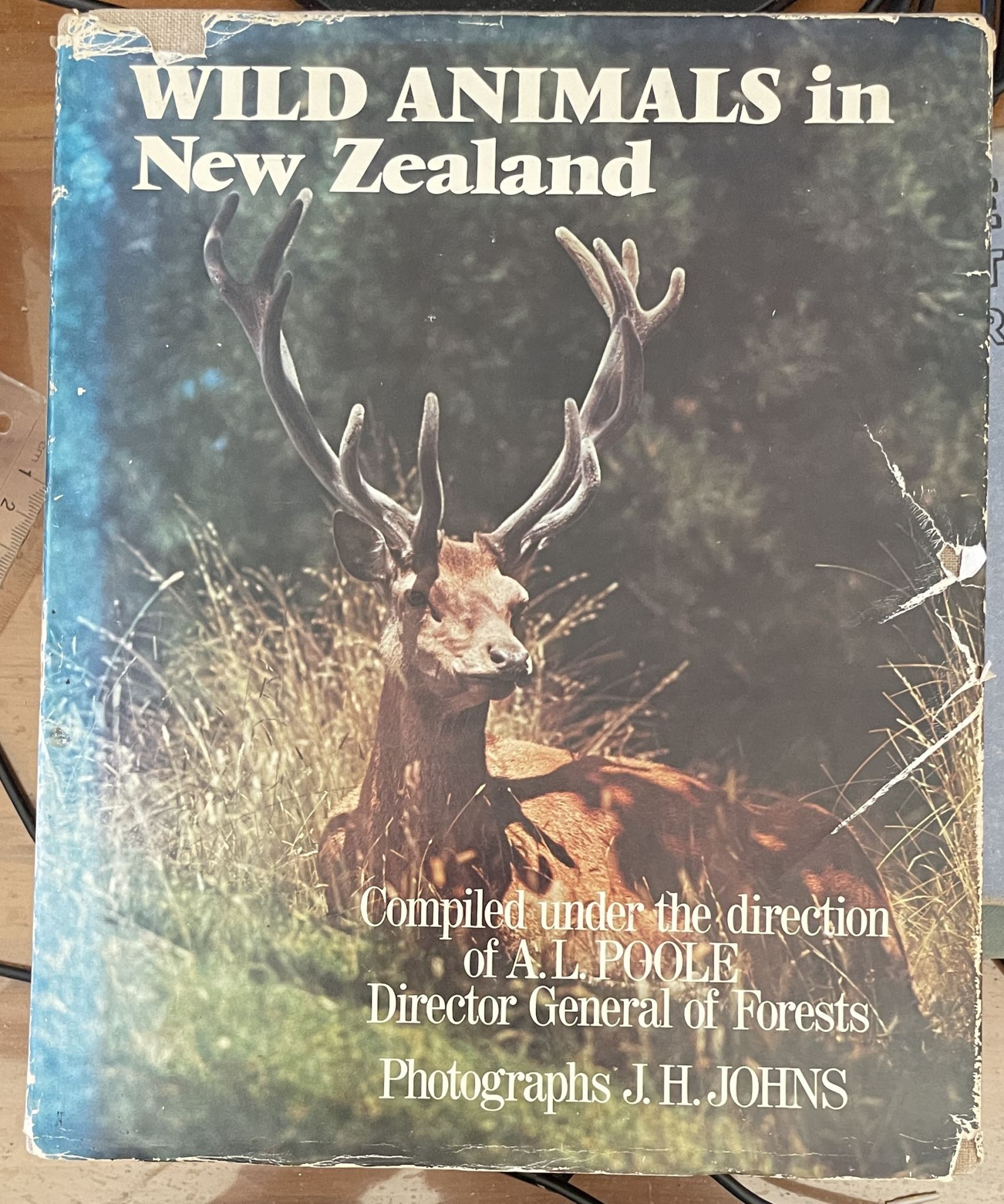 Wild animals in New Zealand