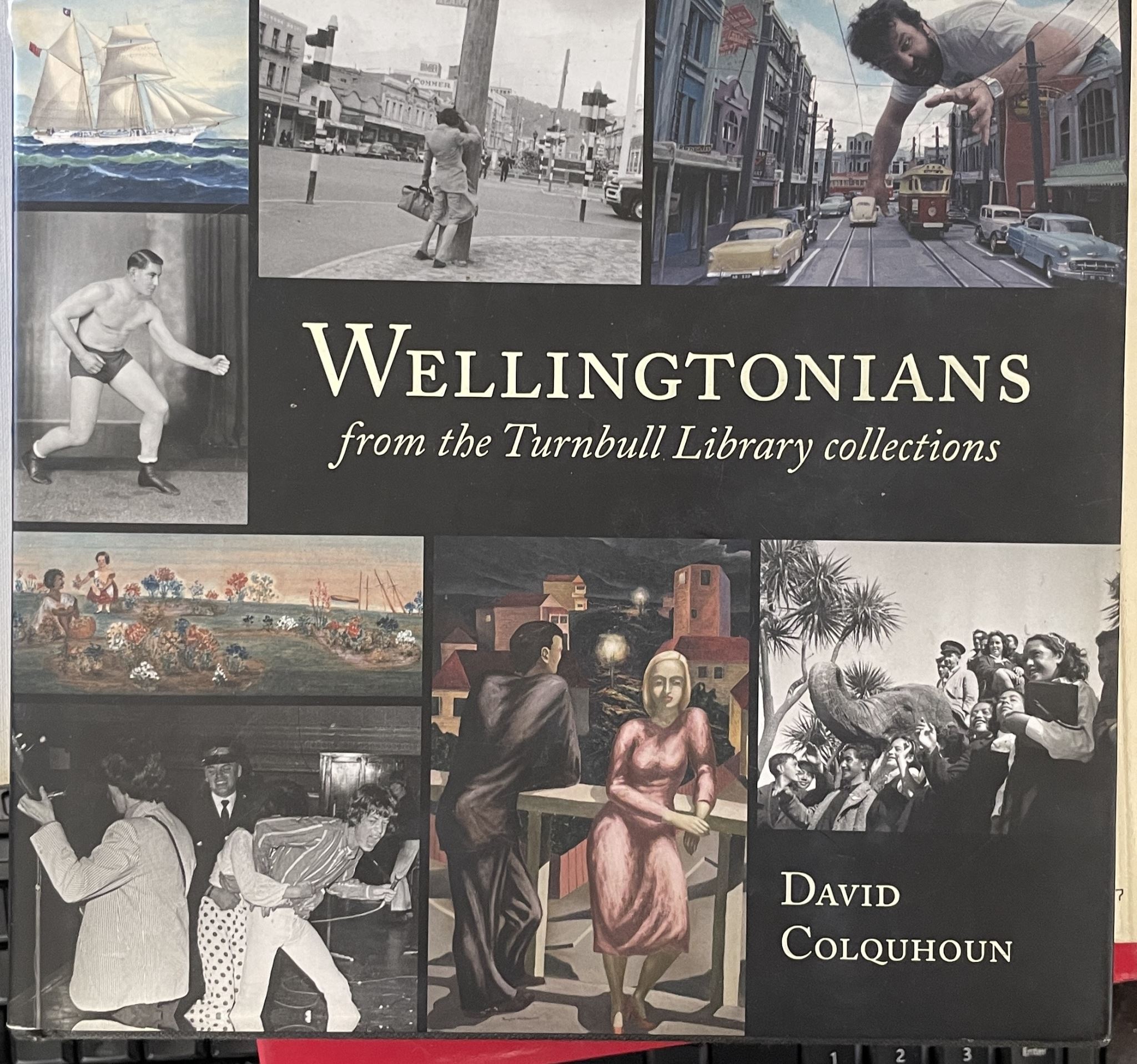Wellingtonians From the Turnbull Library Collection By David Colquhoun