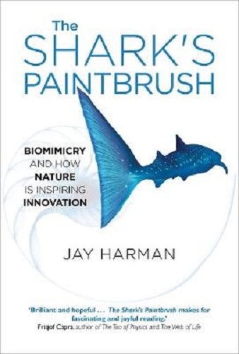 The Shark's Paintbrush Biomimicry and How Nature is Inspiring Innovation