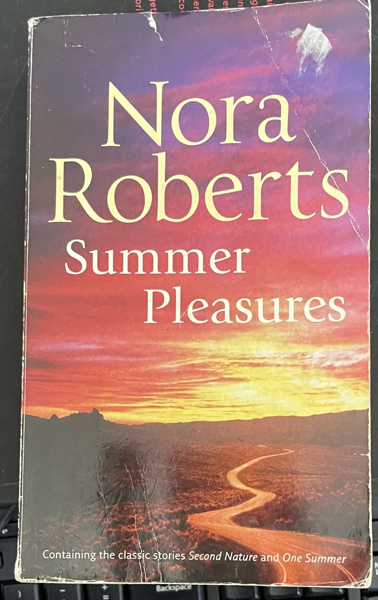 Nora Roberts Summer Pleasures 2 in 1 Second Nature and One Summer