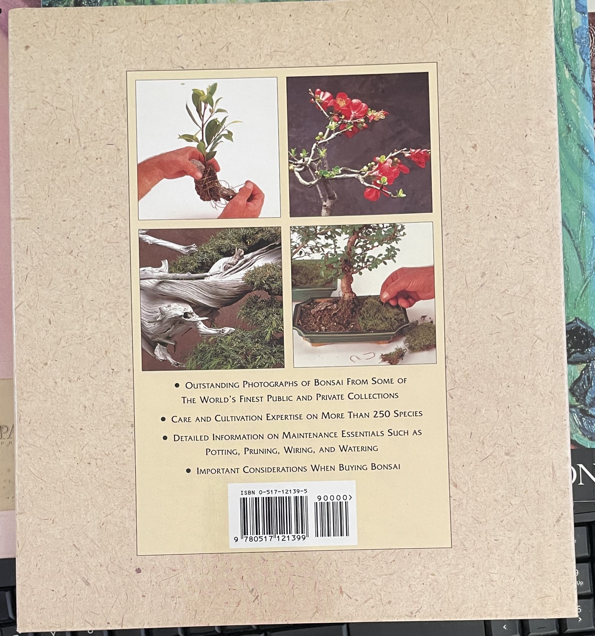 Bonsai In Association With the Brooklyn Botanical Garden