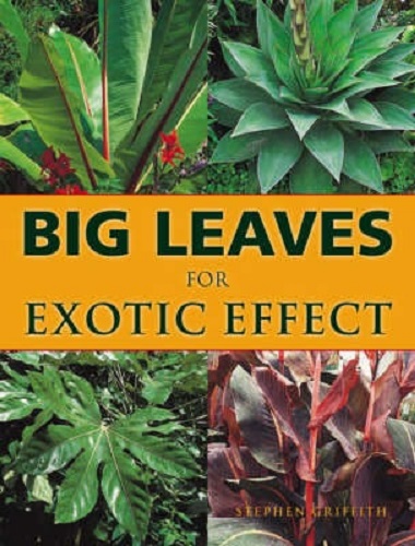 Big Leaves for Exotic Effect By Stephen Griffith