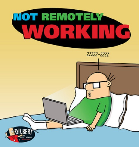 Not Remotely Working Volume 50 By Scott Adams