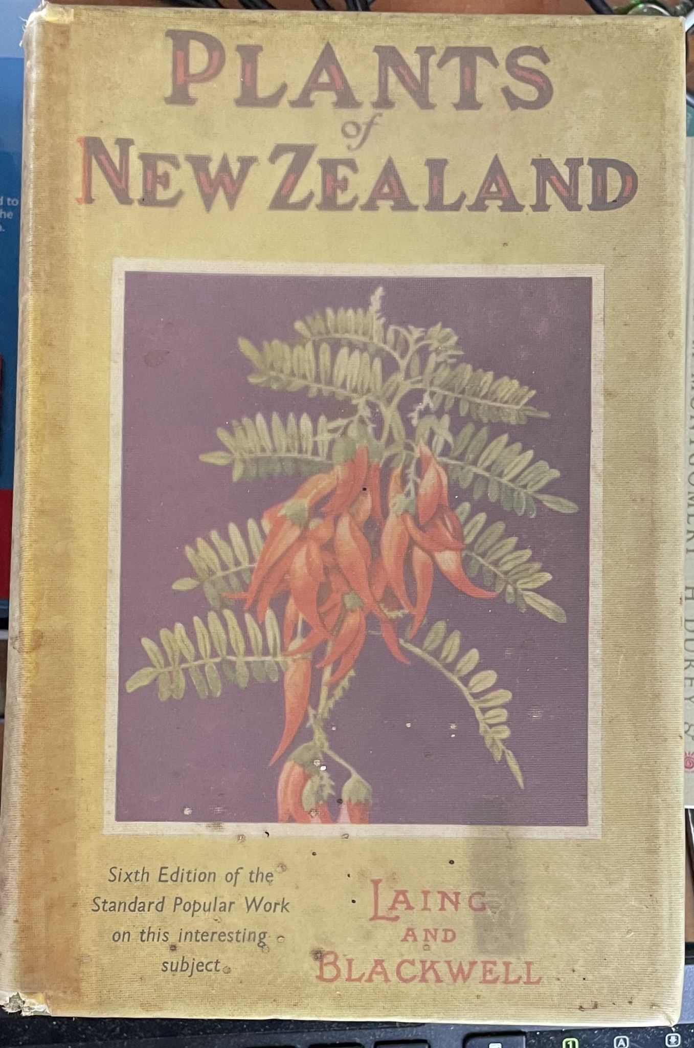 Plants of New Zealand by Laing and Blackwell