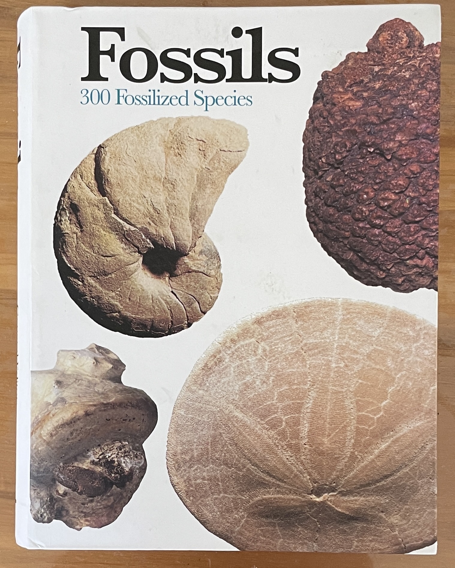 Fossils: 300 of the Earth's Fossilized Species by Carl Mehling