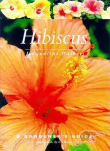 Hibiscus A New Zealander Gardener's Guide by Jacqueline Walker
