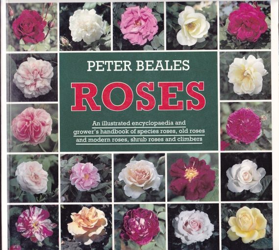 Roses An illustrated Encyclopaedia and Grower's handbook by Peter Beales