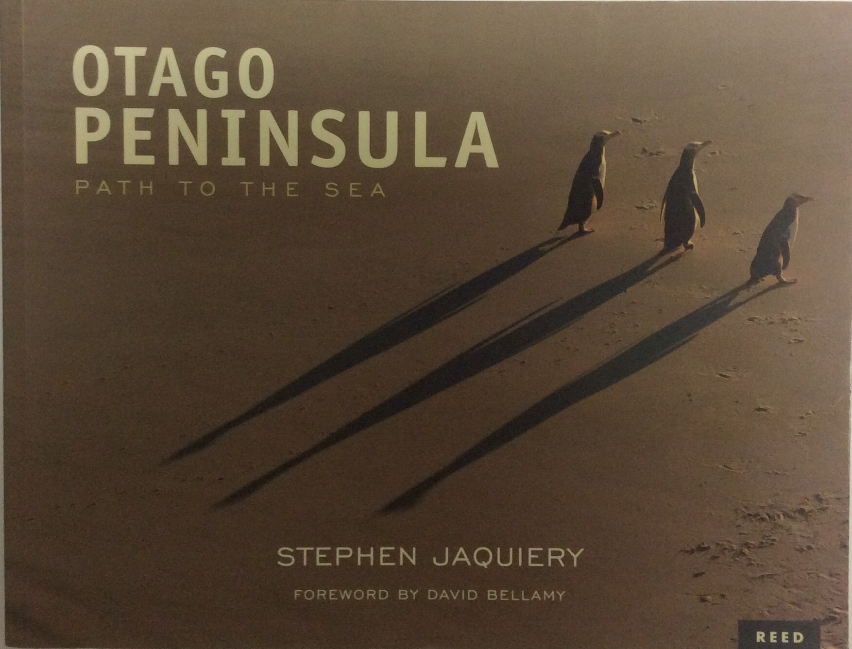 Otago Peninsula Path to the Sea by Stephen Jaquiery Signed