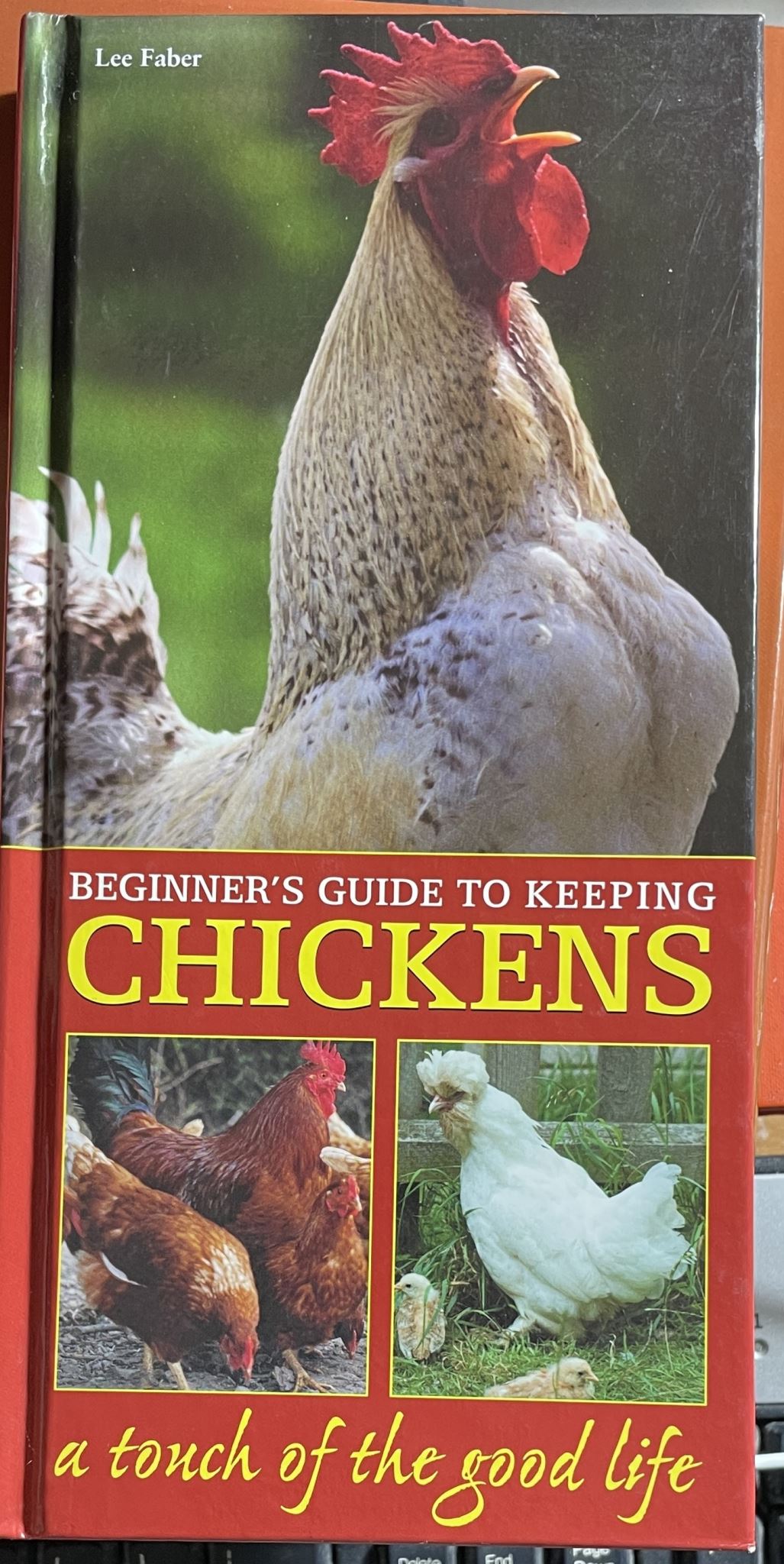 Beginners Guide to Keeping Chickens A touch of good life