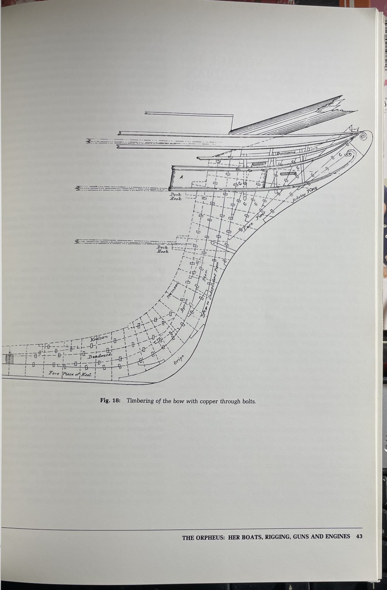 The Orpheus Disaster by Thayer Fairburn Signed