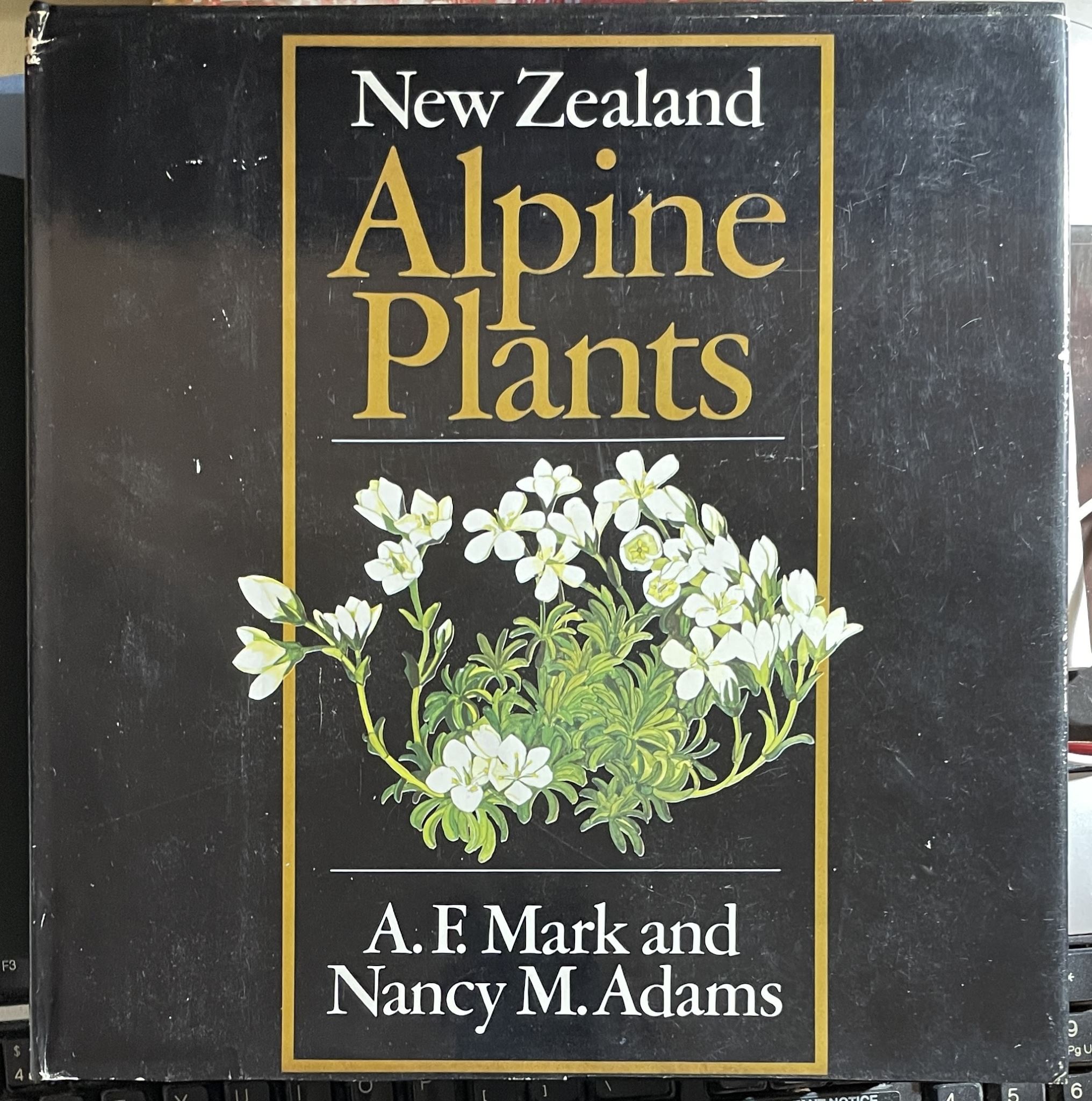 New Zealand Alpine Plants by A F Mark & Nancy M Adams