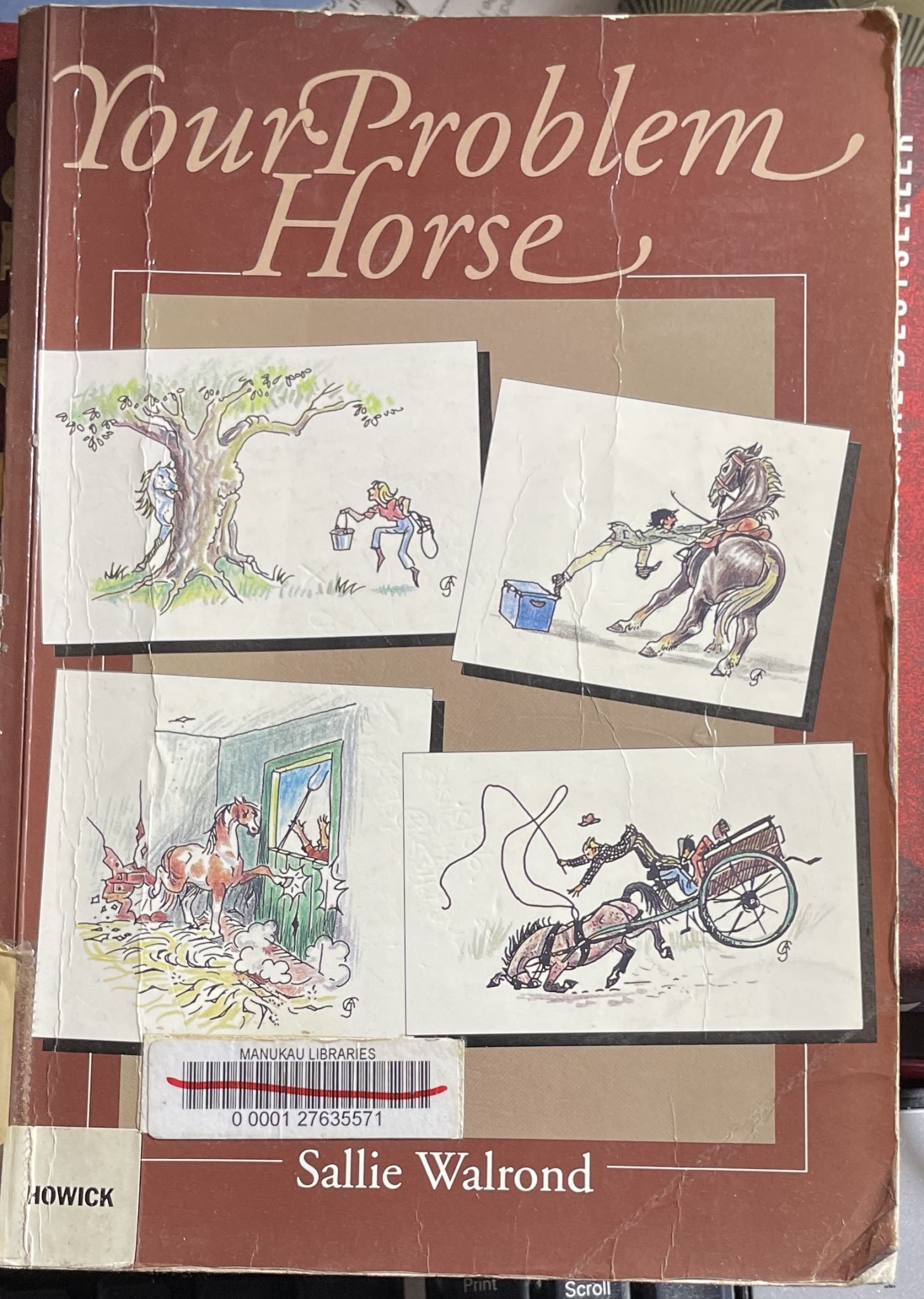 Your Problem Horse by Sallie Walrond