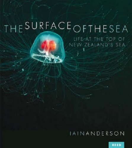 The Surface of the Sea Encounters with New Zealand's Upper Ocean Life