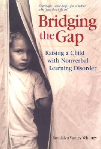 Bridging the Gap Raising a Child with Nonverbal Learning Disroder