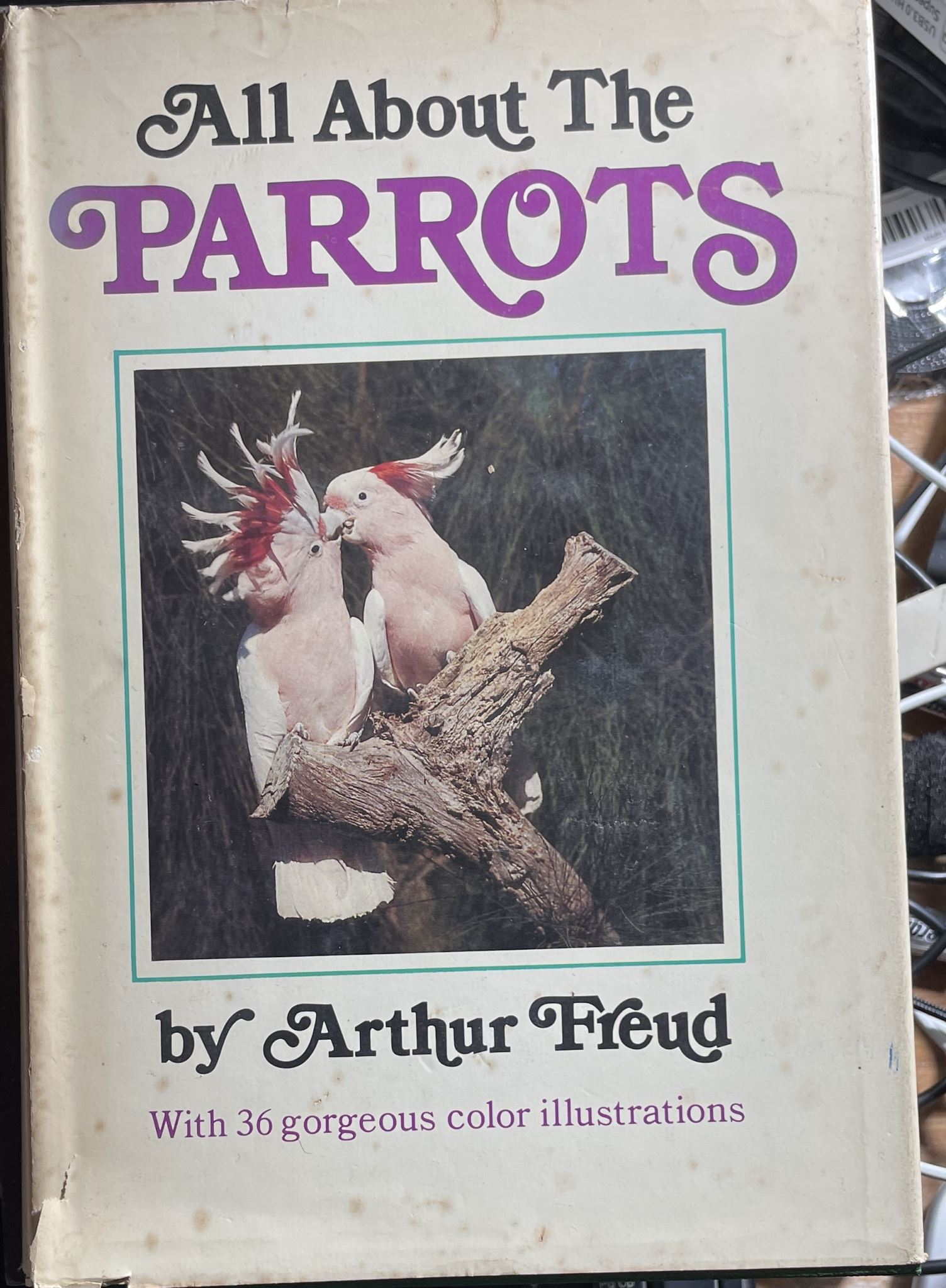 All About the Parrots by Arthur Freud