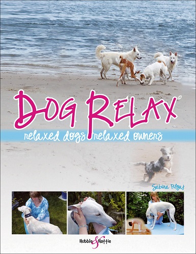 Dog Relax Relaxed Dogs, Relaxed Owners By Sabina Pilguj