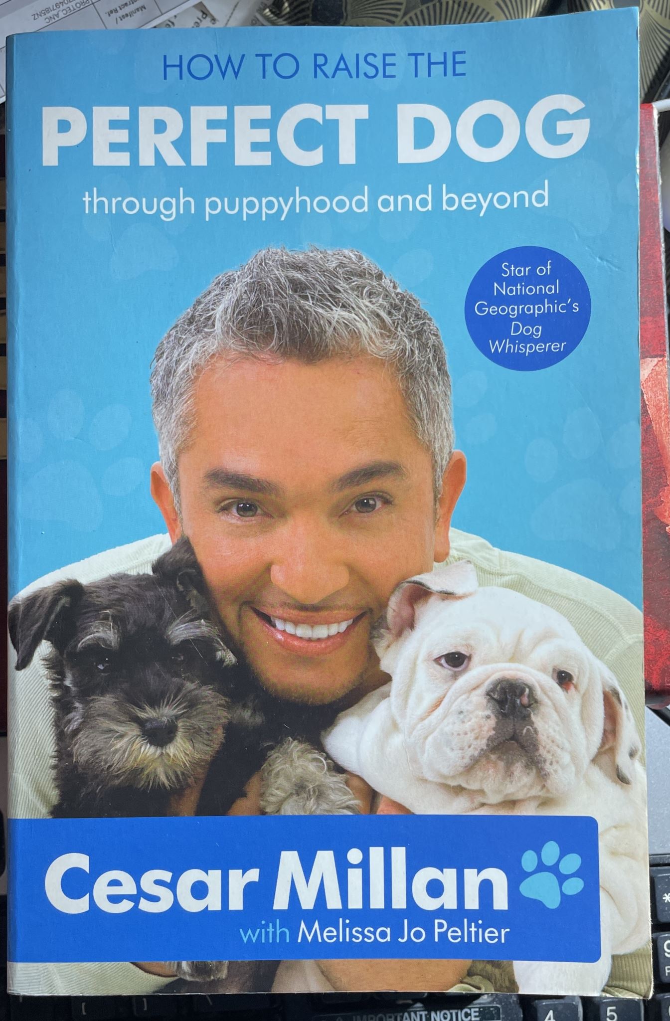 How to Raise the Perfect Dog Through Puppyhood and Beyond By Cesar Millan