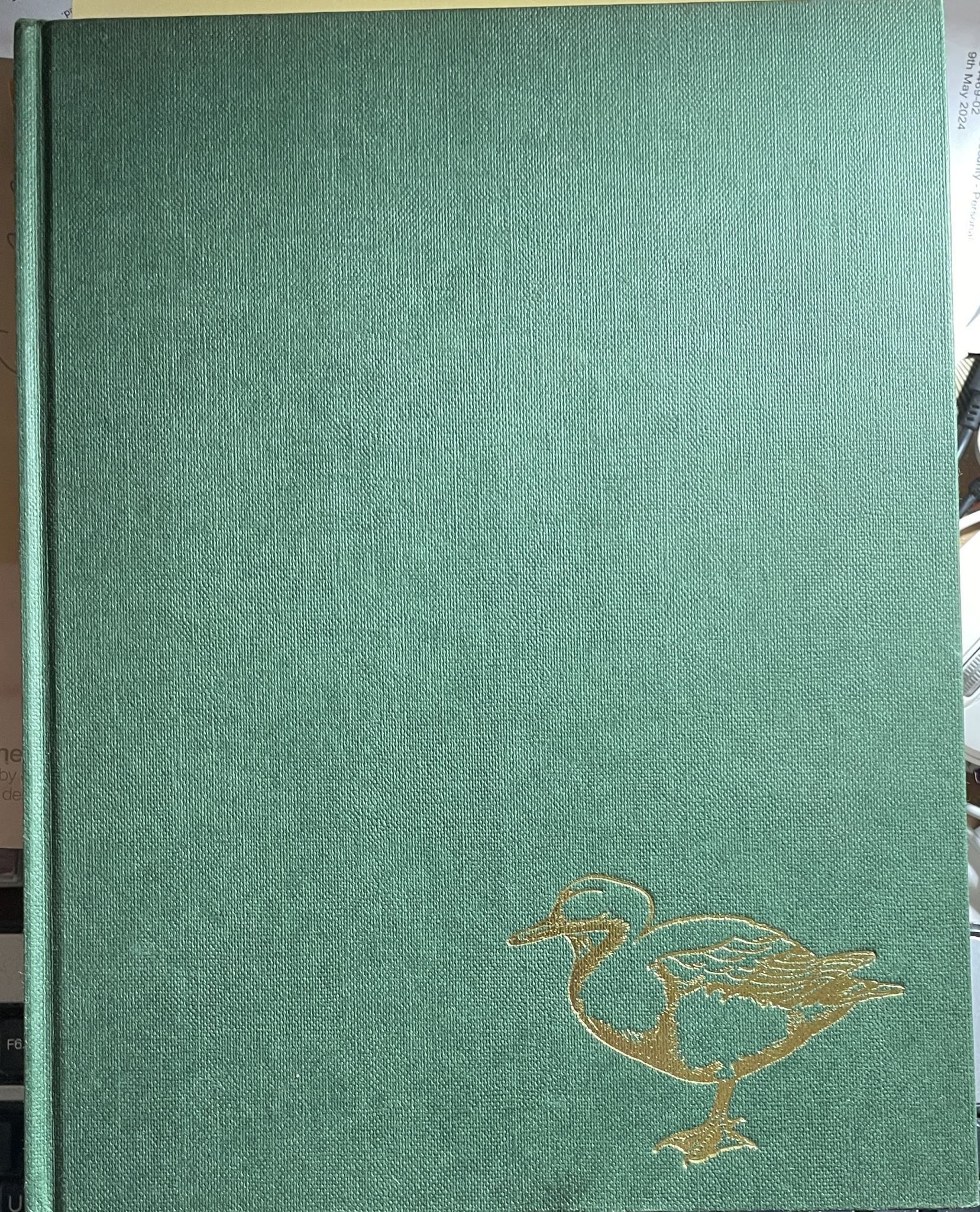 New Zealand Water Birds by Elaine Power