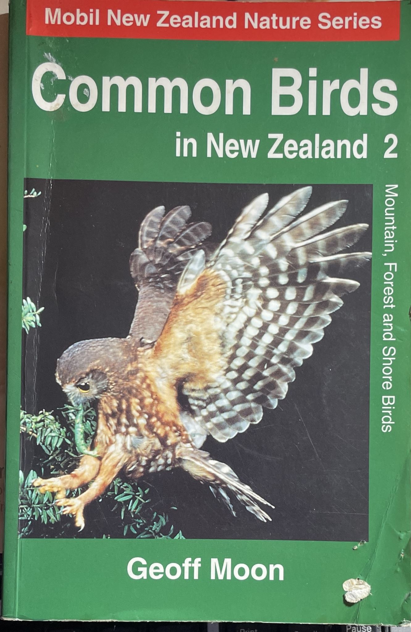 Mobile NZ Nature Common Birds in New Zealand 2 Mountain, Forest and Shore Birds