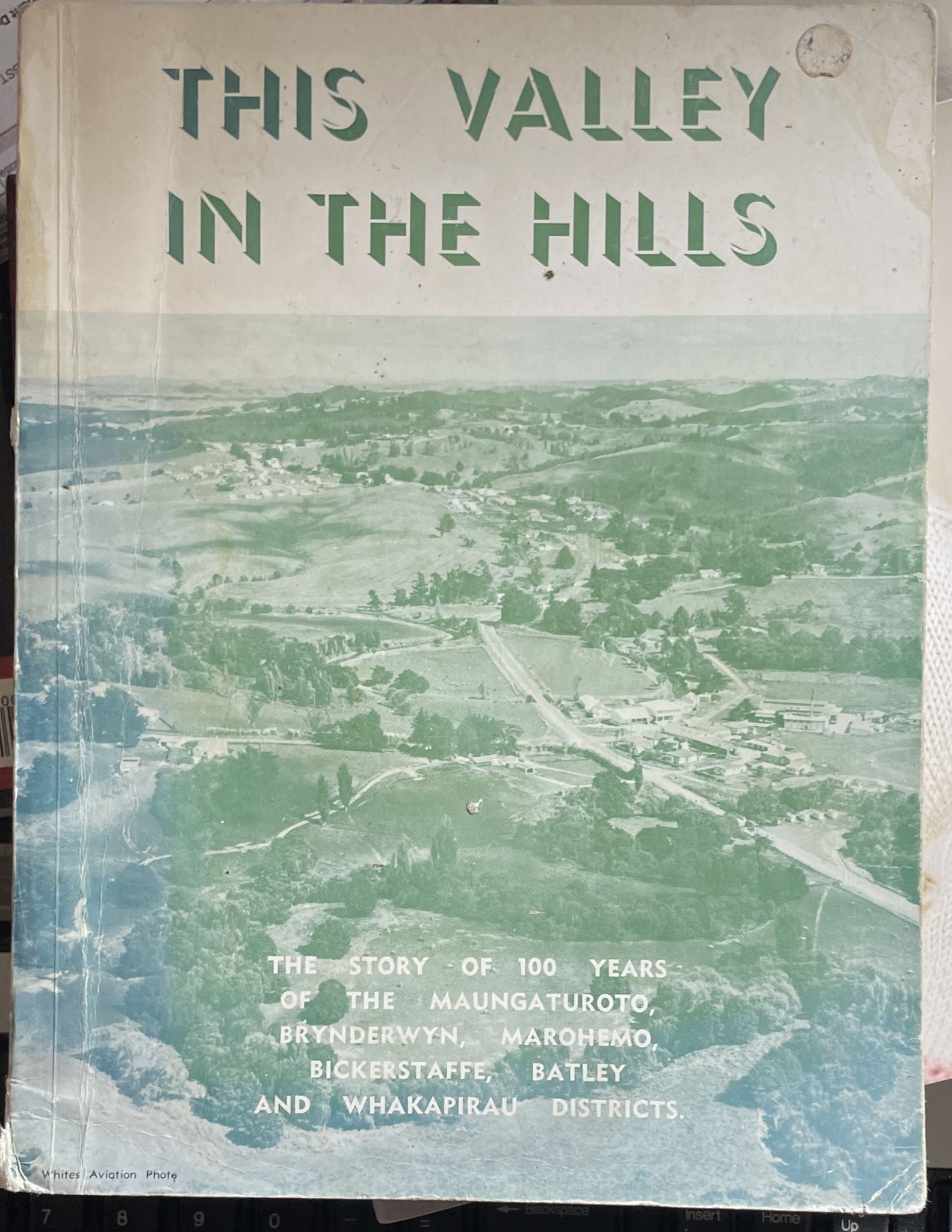 This Valley in the Hills By Dick Butler