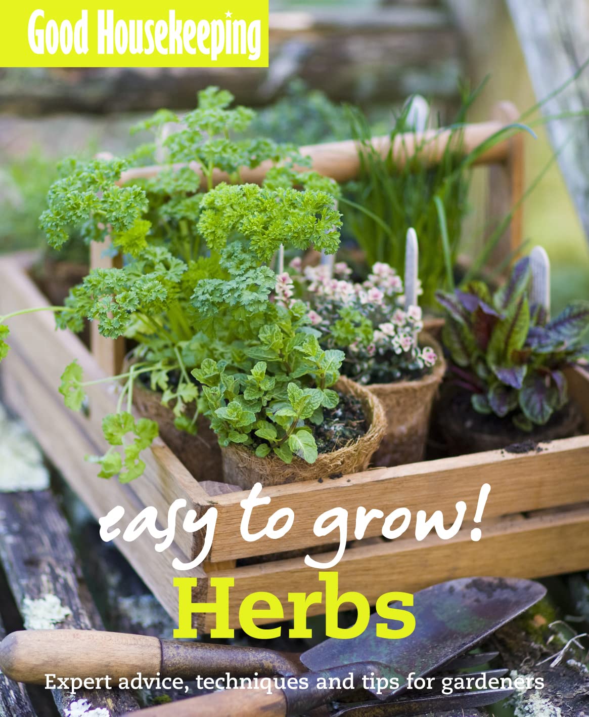 Good Housekeeping Easy to Grow! Herbs Expert advice, techniques and tips