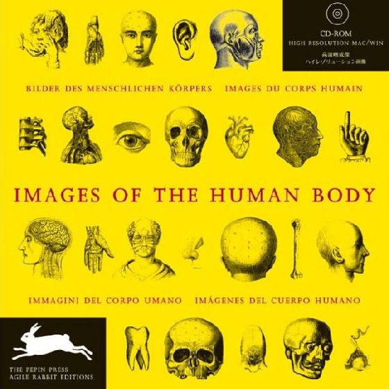 Images of the Human Body Agile Rabbit Editions