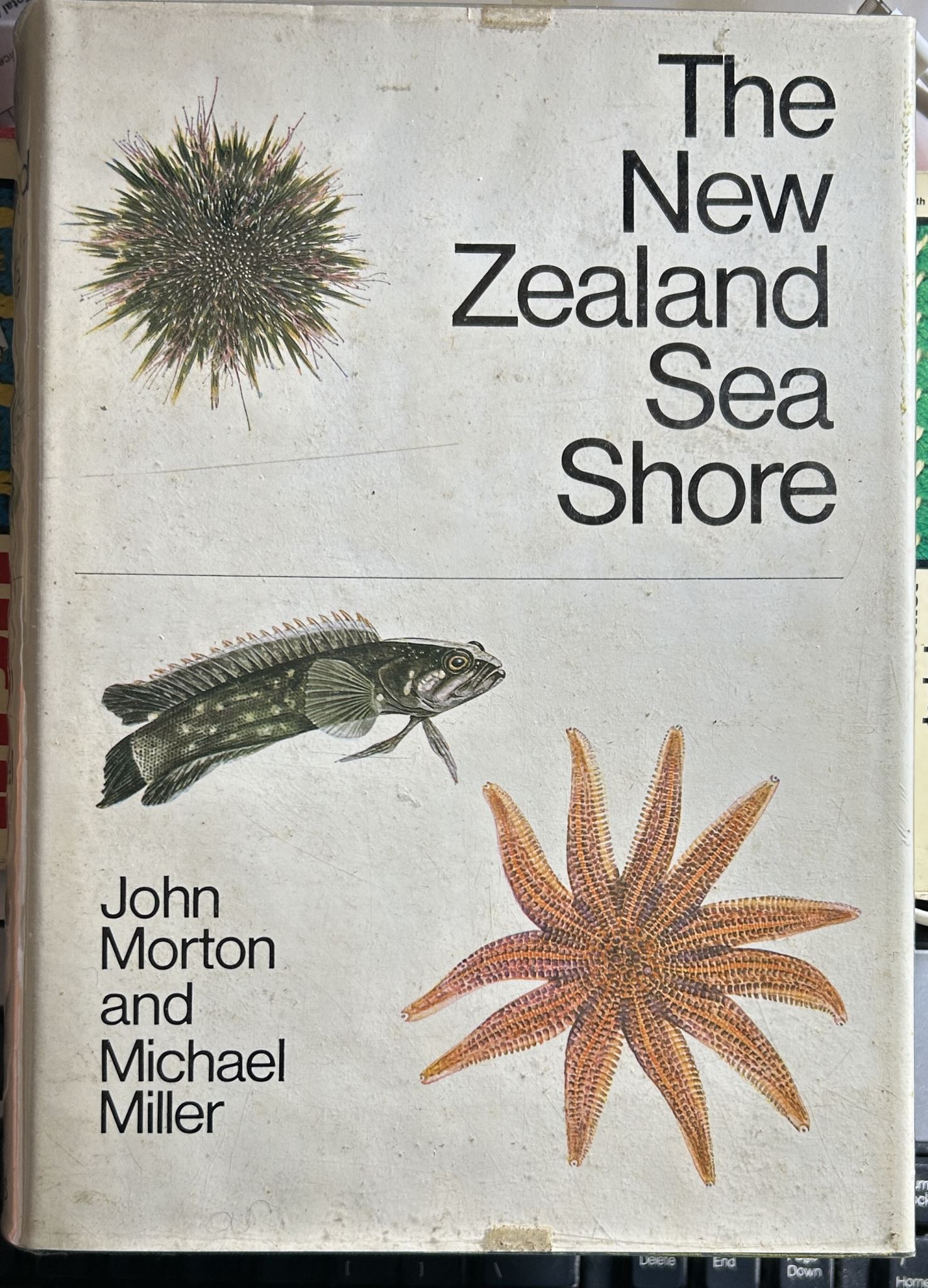 The New Zealand Sea Shore by John Morton & Michael Miller Revised Edition
