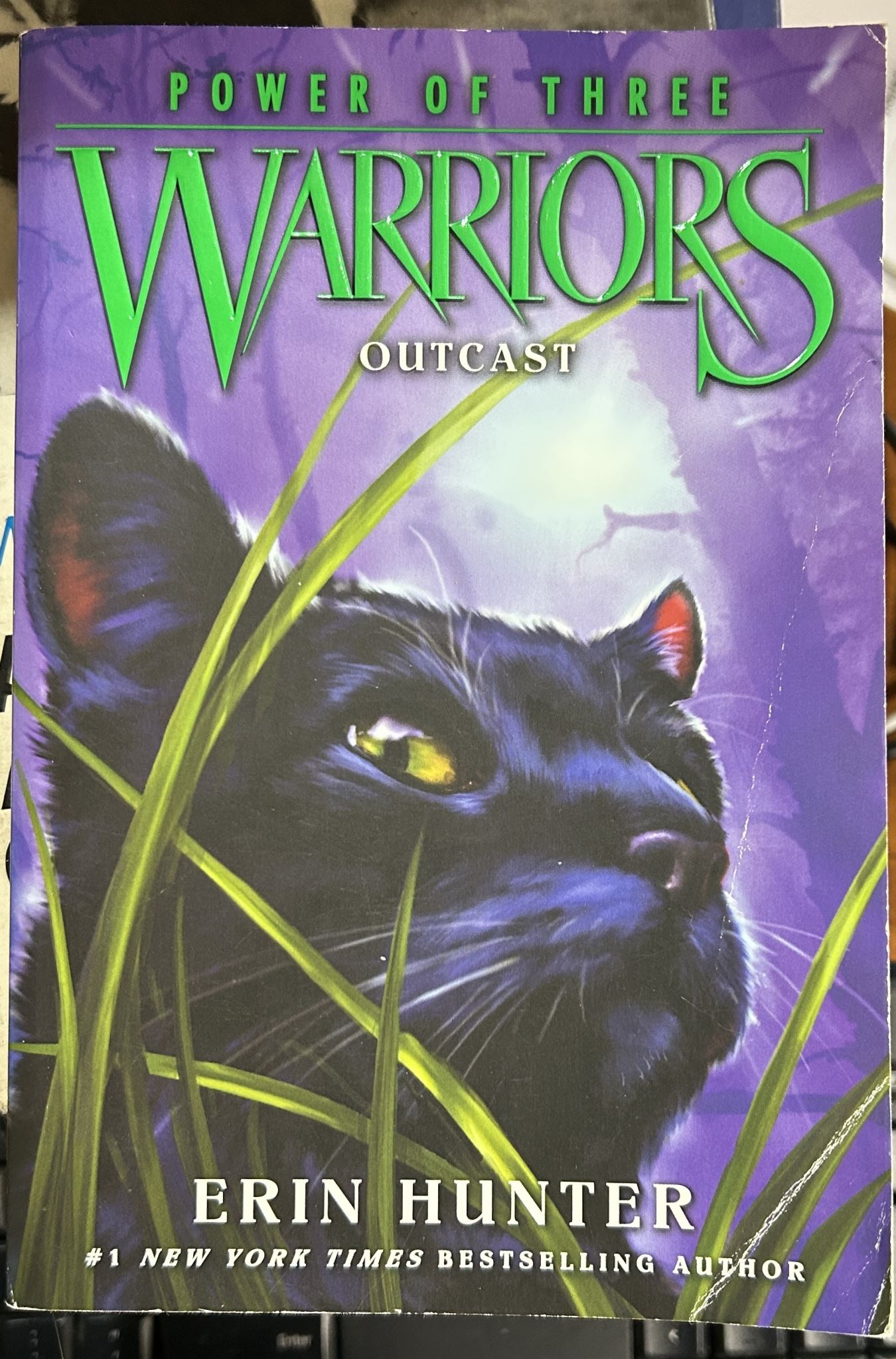 Power of Three Warriors #3 Outcast By Erin Hunter