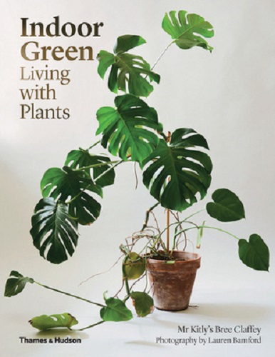 Indoor Green Living with Plants by Mr Kitly's Bree Claffey