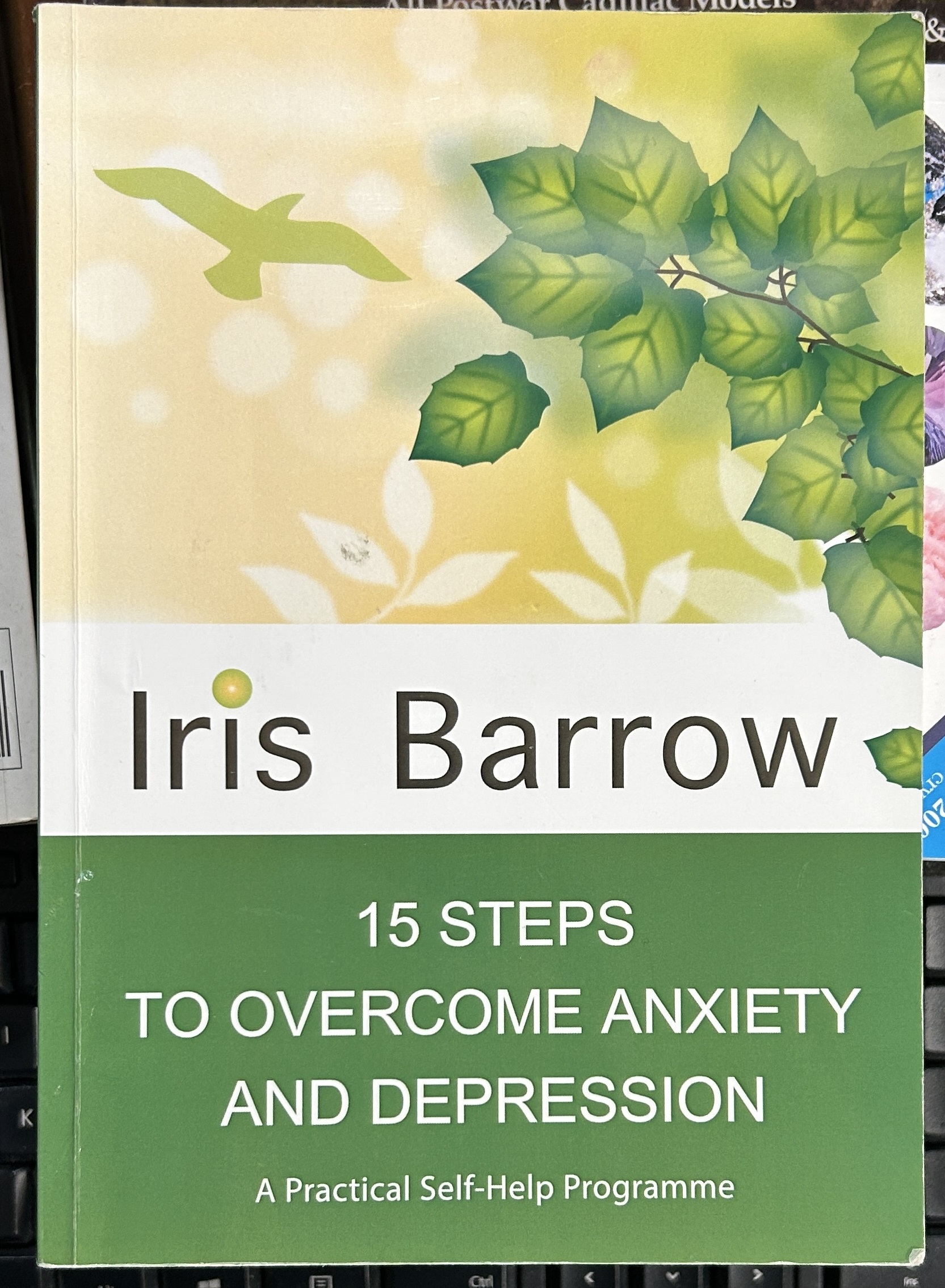 15 Steps to Overcome Anxiety and Depression by Iris Barrow