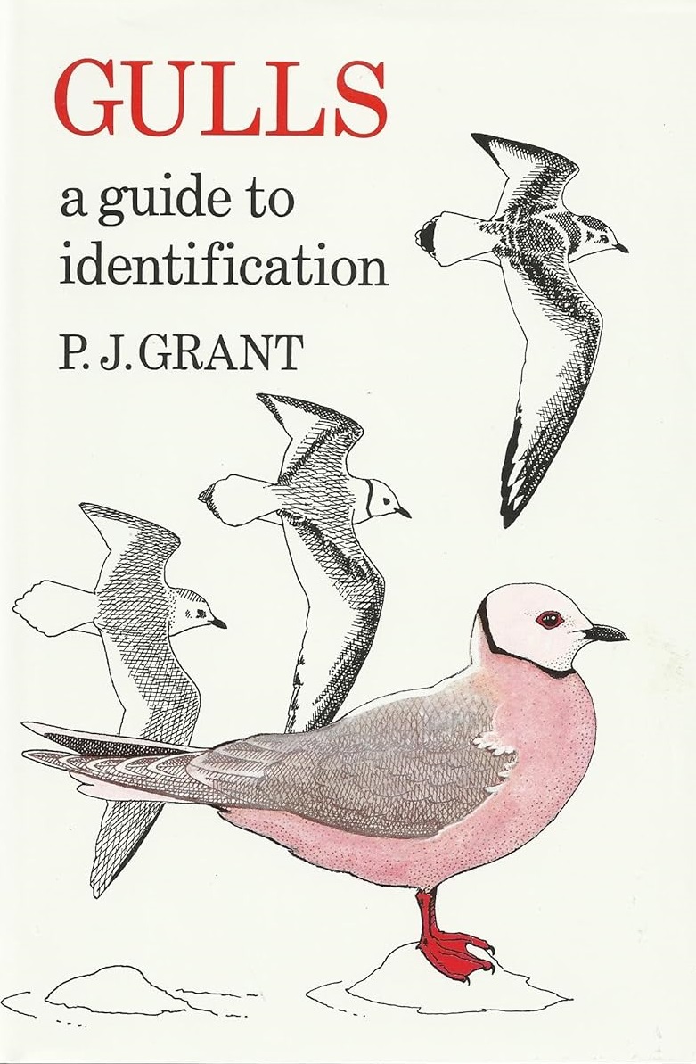 Gulls A Guide to Identification by P J Grant
